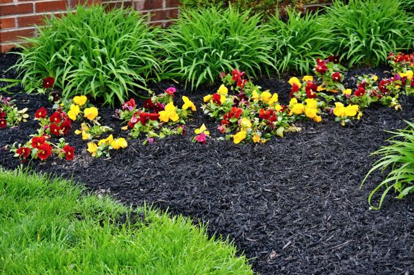 Apartment Mulching in Palm City