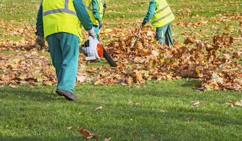 Leaf Blowing and Gathering