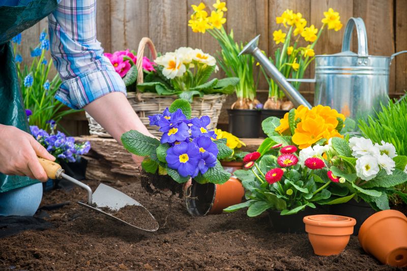 Flower Planting Service
