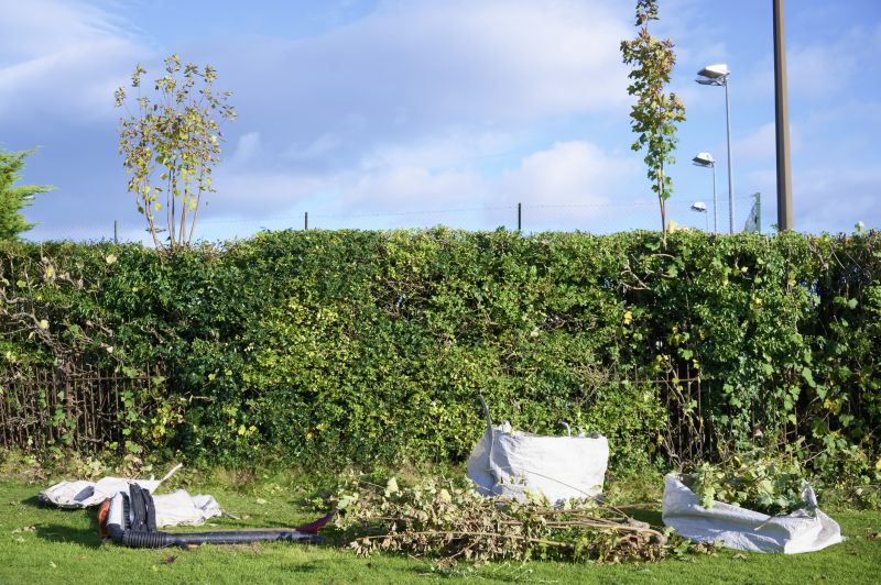 Hedge Landscaping