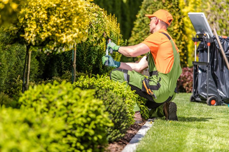 Customized Landscaping Solutions